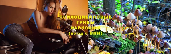 гидропоника Вязьма