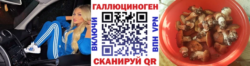 закладки  Зерноград  ссылка на мегу ТОР  Галлюциногенные грибы мицелий 